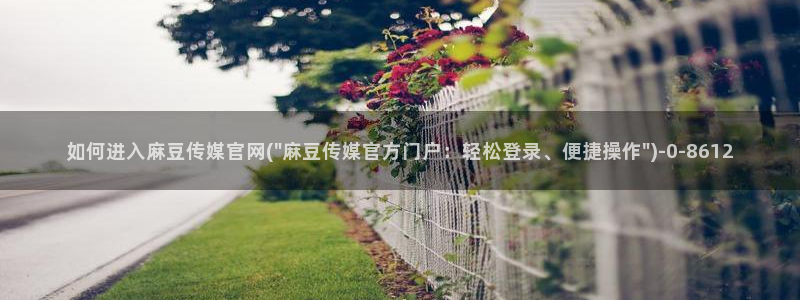 麻豆传媒官网版下载：如何进入麻豆传媒官网(\