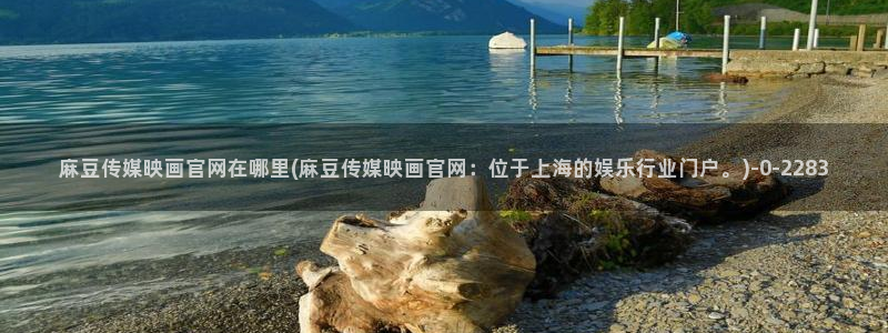 麻豆传媒官网app麻豆视频：麻豆传媒映画官网在哪里(麻豆传媒映画官网：位于上海的娱乐行业门户。)
