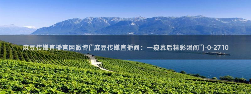 麻豆床传媒官网2021：麻豆传媒直播官网微博(\