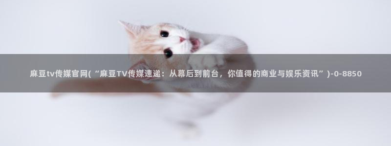 麻豆印画传媒官网：麻豆tv传媒官网(“麻豆TV传媒速递：从幕后到前台，你值得的商业与娱乐资讯”)