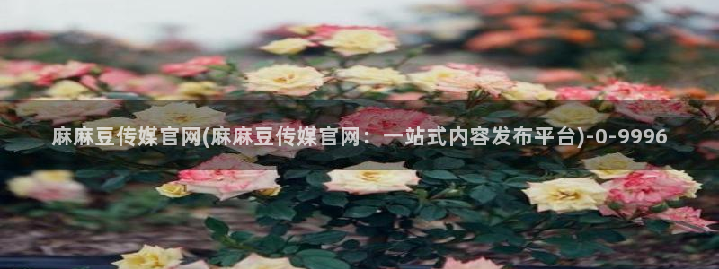 麻豆传媒a官网：麻麻豆传媒官网(麻麻豆传媒官网：一站式内容发布平台)