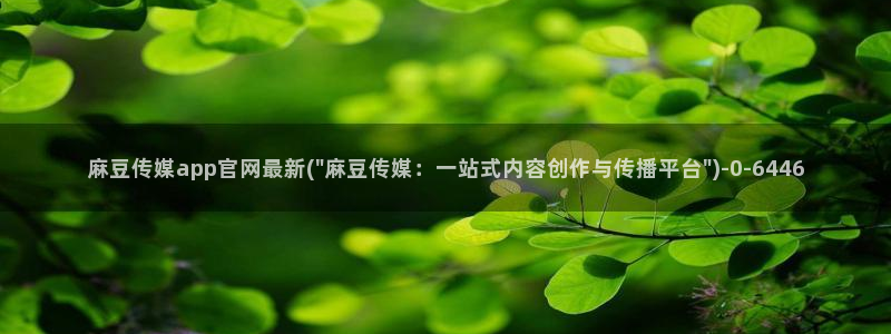 麻豆映象传媒官网
