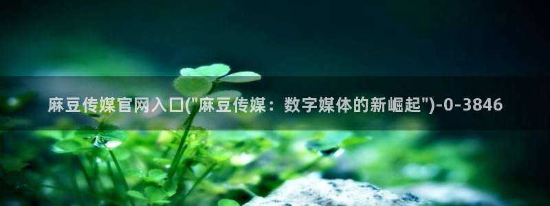 麻豆麻豆个传媒官网app黄：麻豆传媒官网入囗(\