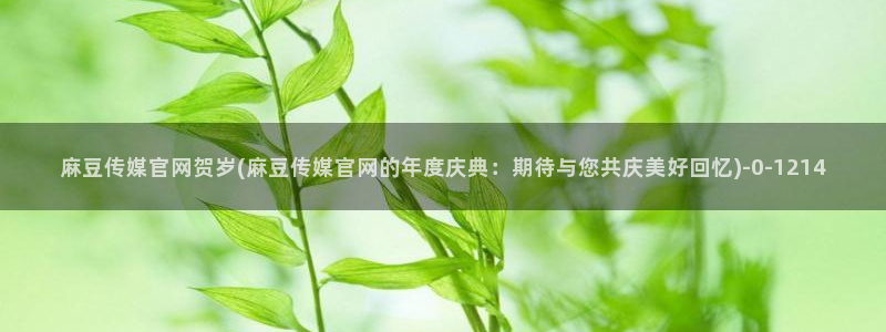 mdl pub麻豆传媒官网：麻豆传媒官网贺岁(麻豆传媒官网的年度庆典：期待与您共庆美好回忆)