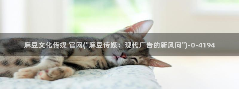 mdpub麻豆传媒官网在线：麻豆文化传媒 官网(\