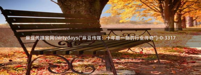 麻豆传媒的官网