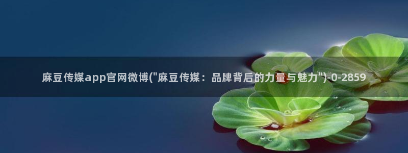 麻豆传媒视官网：麻豆传媒app官网微博(\