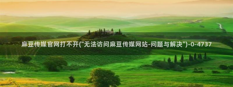 麻豆传媒视官网：麻豆传媒官网打不开(\