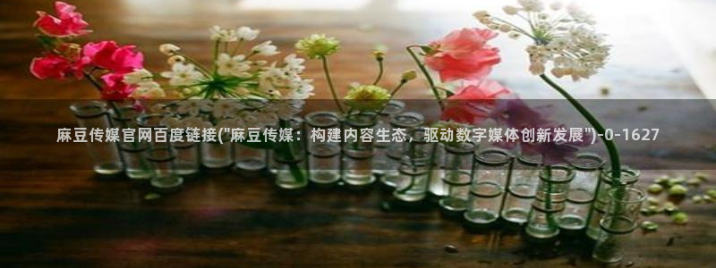 m麻豆传媒官网：麻豆传媒官网百度链接(\