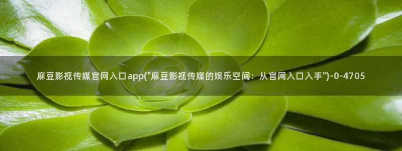 麻豆传媒电影官网：麻豆影视传媒官网入口app(\