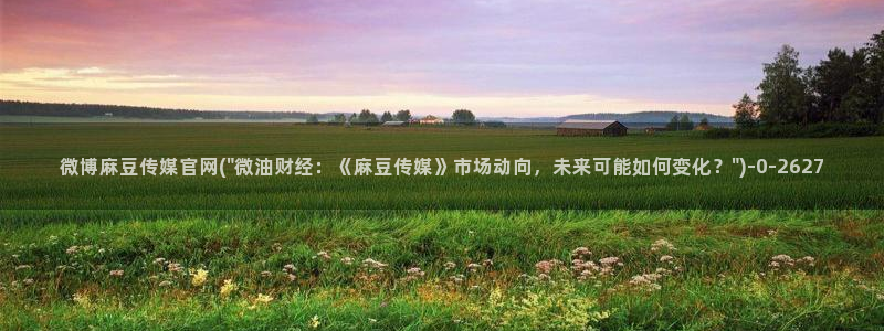麻豆啊传媒官网免费