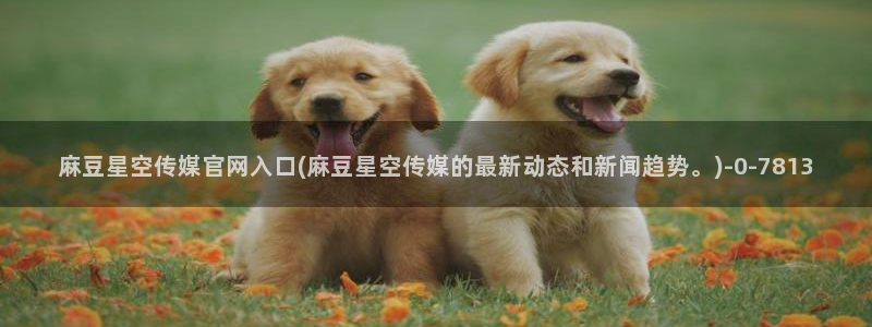 麻豆传媒台湾官网