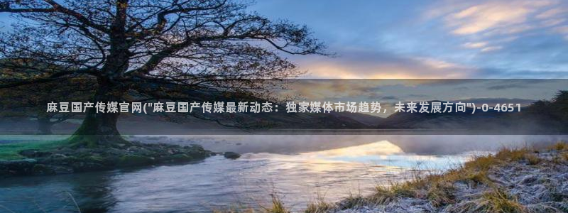 麻豆传媒官网还在吗
