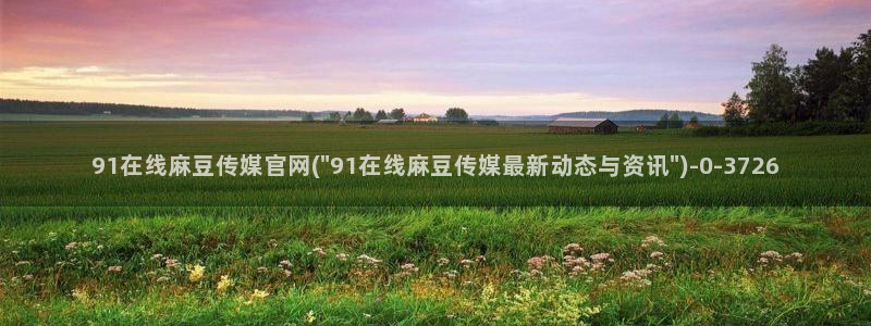 麻豆映象传媒官网