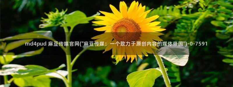 麻豆映话传媒官网