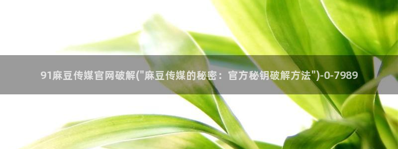 麻豆映画传媒官网首页黄